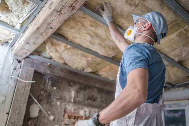 Best Geographic-Specific Insulation Services in Hugo, OK
